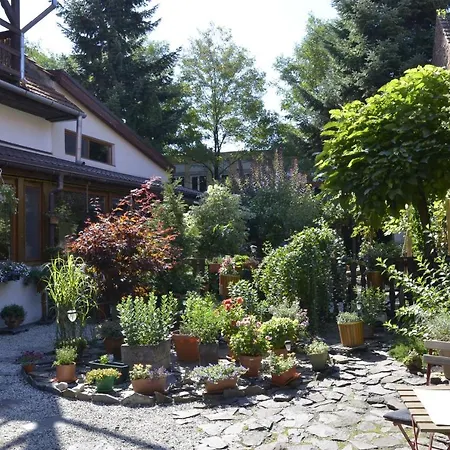 Limo House Brasov