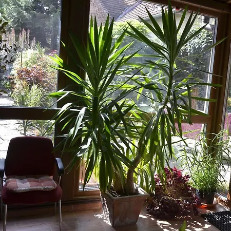 Limo House Apartment Brasov